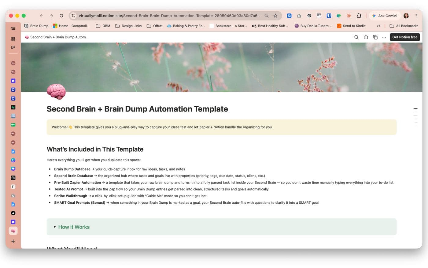 Second Brain + Brain Dump Automation cover
